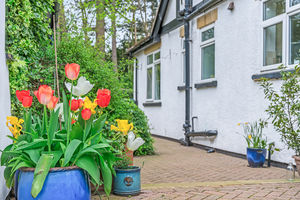 Photo 10- click for photo gallery